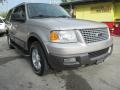 Silver Birch Metallic 2005 Ford Expedition XLT