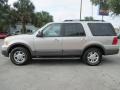 2005 Silver Birch Metallic Ford Expedition XLT  photo #6