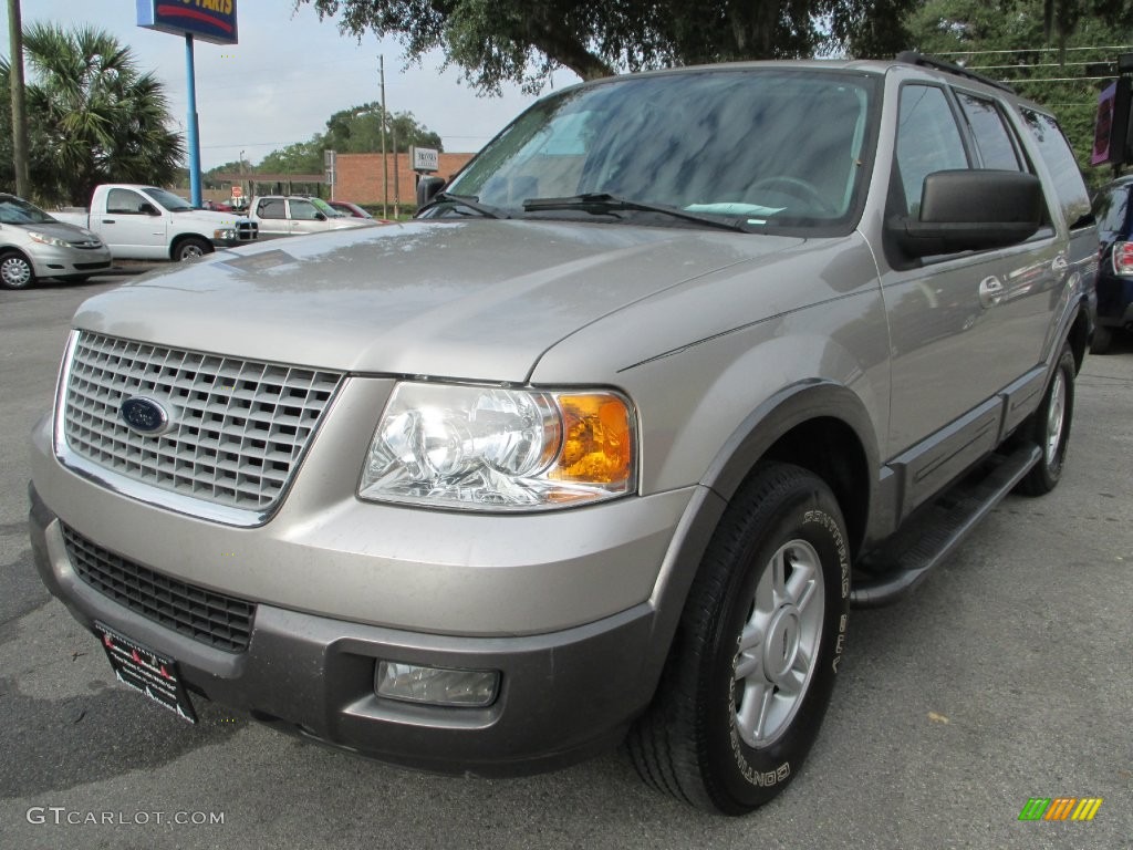 Silver Birch Metallic 2005 Ford Expedition XLT Exterior Photo #109761394