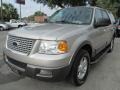 Silver Birch Metallic 2005 Ford Expedition XLT Exterior