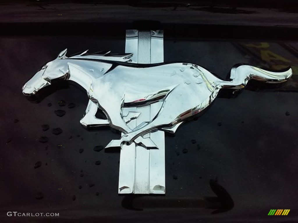 2016 Mustang V6 Coupe - Guard Metallic / Ebony photo #10