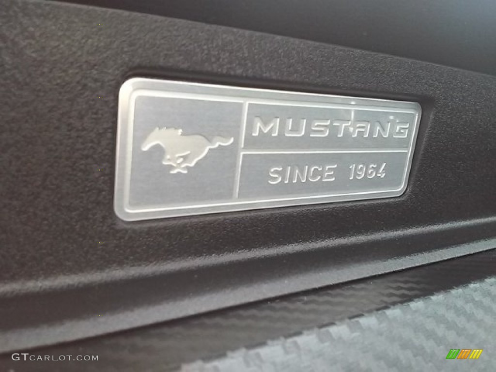 2016 Mustang V6 Coupe - Guard Metallic / Ebony photo #23