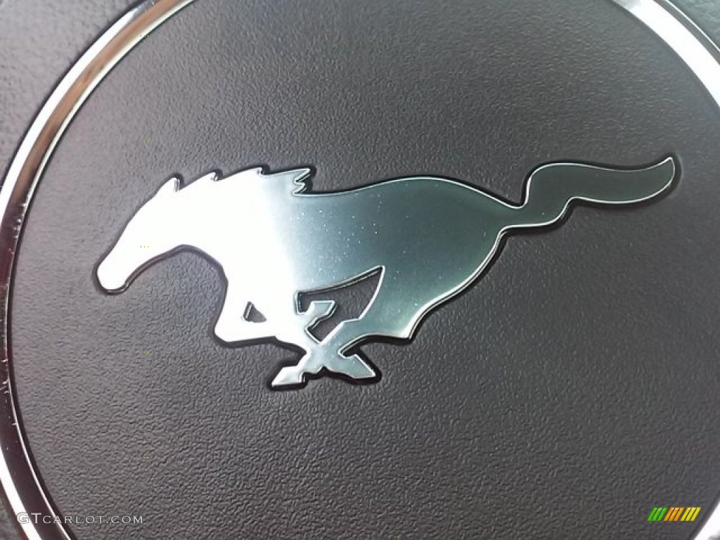 2016 Mustang V6 Coupe - Guard Metallic / Ebony photo #26