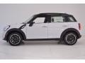 Light White - Countryman Cooper Photo No. 3