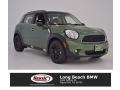 Jungle Green Metallic - Countryman Cooper Photo No. 1