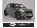 2016 Jungle Green Metallic Mini Countryman Cooper #109756905