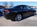 Pitch Black - Charger SE Photo No. 3