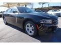Pitch Black - Charger SE Photo No. 4