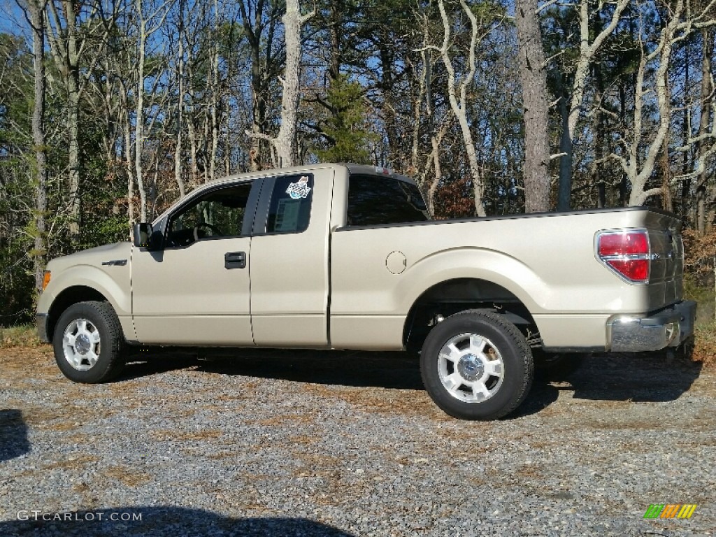 2010 F150 XLT SuperCab - Pueblo Gold Metallic / Tan photo #2