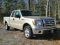 2010 Pueblo Gold Metallic Ford F150 XLT SuperCab  photo #7