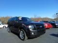 2010 Tuxedo Black Ford Expedition EL Limited 4x4  photo #9