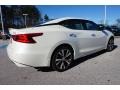 Pearl White - Maxima Platinum Photo No. 5