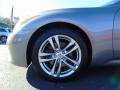 Platinum Graphite - G 37 x Coupe Photo No. 13