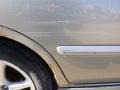 Radium Gray - Sentra SE-R Photo No. 4