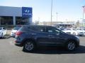 Marlin Blue - Santa Fe Sport  Photo No. 11