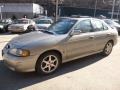 Radium Gray - Sentra SE-R Photo No. 12