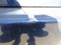 Indigo Ink Pearl - Highlander V6 4WD Photo No. 4