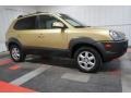 2005 Golden Sand Hyundai Tucson GLS V6 4WD  photo #5