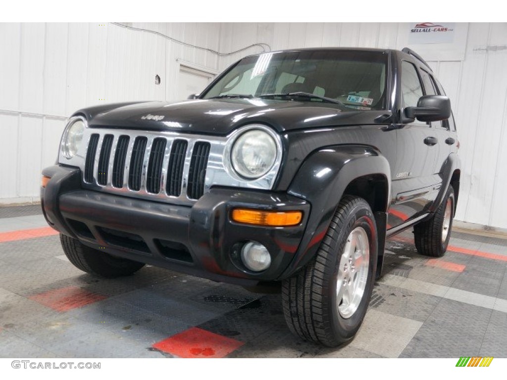 2002 Liberty Limited 4x4 - Black / Taupe photo #3
