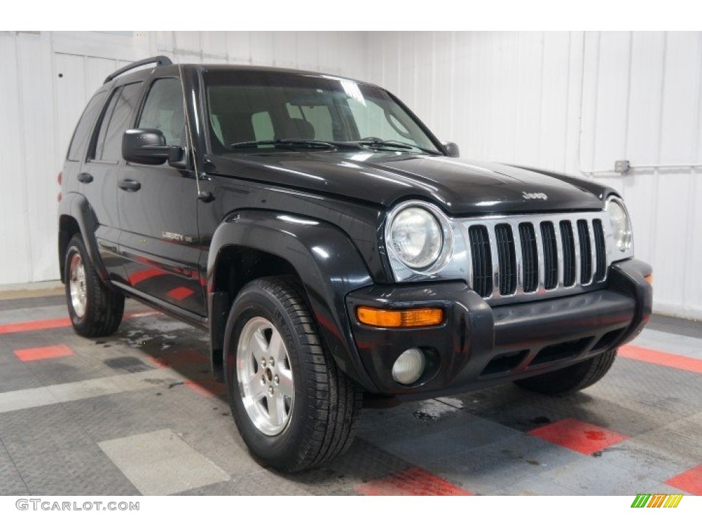 2002 Liberty Limited 4x4 - Black / Taupe photo #5