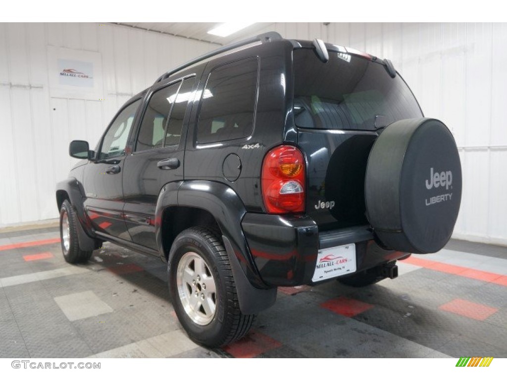 2002 Liberty Limited 4x4 - Black / Taupe photo #10