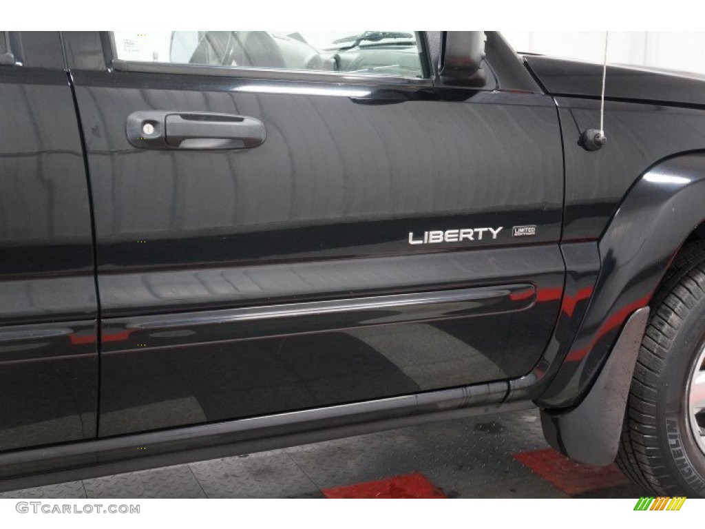 2002 Liberty Limited 4x4 - Black / Taupe photo #54
