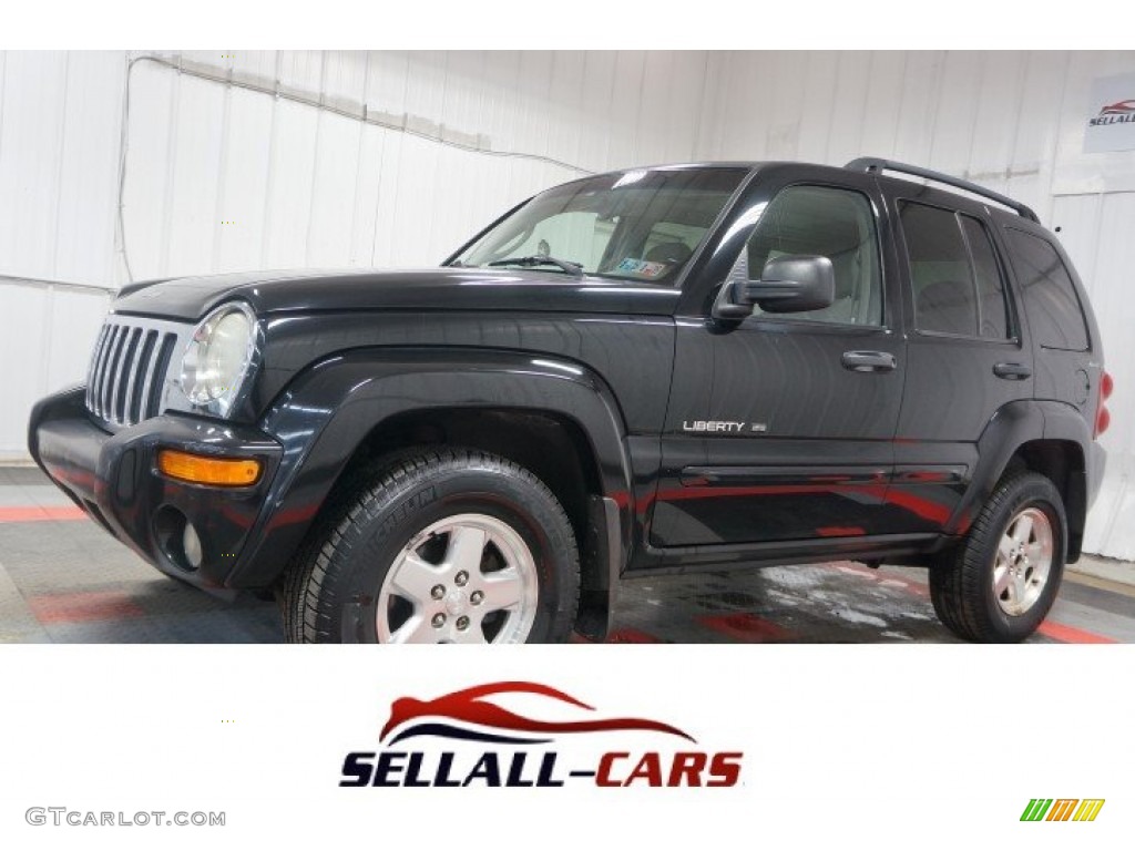 2002 Liberty Limited 4x4 - Black / Taupe photo #90