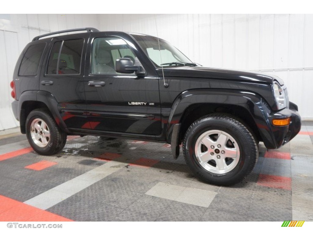 2002 Liberty Limited 4x4 - Black / Taupe photo #95