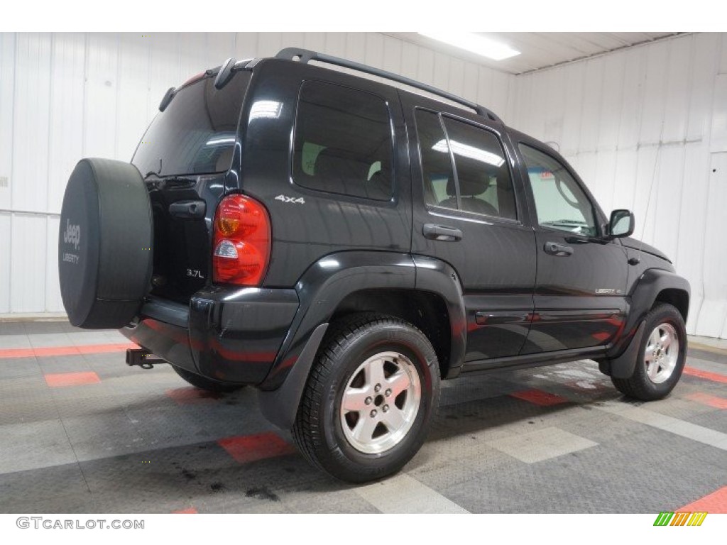 2002 Liberty Limited 4x4 - Black / Taupe photo #96