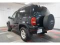 2002 Black Jeep Liberty Limited 4x4  photo #99