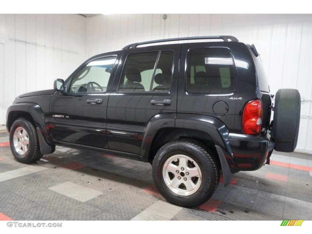 2002 Liberty Limited 4x4 - Black / Taupe photo #100