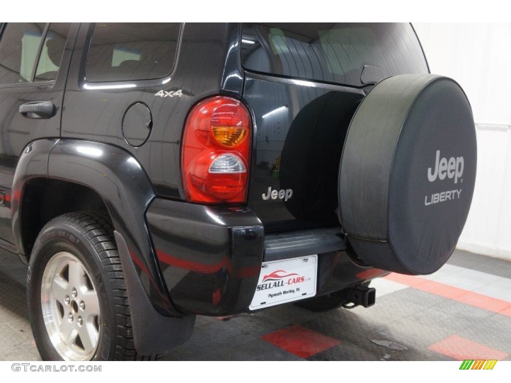 2002 Liberty Limited 4x4 - Black / Taupe photo #155