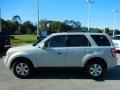 2009 Brilliant Silver Metallic Ford Escape Limited V6  photo #2