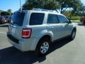 2009 Brilliant Silver Metallic Ford Escape Limited V6  photo #9