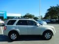 2009 Brilliant Silver Metallic Ford Escape Limited V6  photo #10