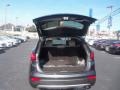 Platinum Graphite - Santa Fe Sport  Photo No. 16