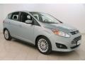 Ice Storm 2013 Ford C-Max Hybrid SEL