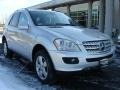 Iridium Silver Metallic - ML 500 4Matic Photo No. 2