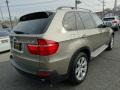 2007 Platinum Bronze Metallic BMW X5 3.0si  photo #5