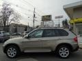 2007 Platinum Bronze Metallic BMW X5 3.0si  photo #8