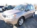 Burnished Bronze Metallic - Forester 2.5i Photo No. 10