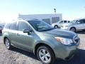 2016 Jasmine Green Metallic Subaru Forester 2.5i Limited  photo #1