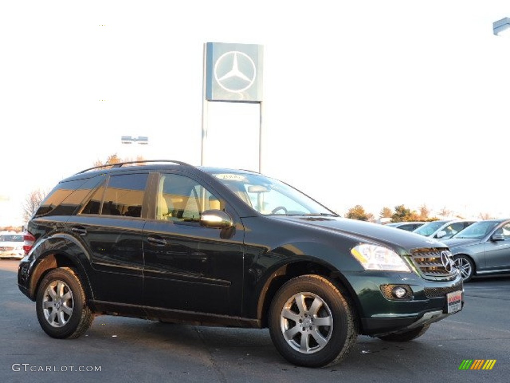 2006 ML 350 4Matic - Everest Green Metallic / Ash photo #3