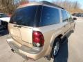 Sandstone Metallic - TrailBlazer EXT LS 4x4 Photo No. 4