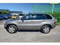 Titanium Silver Metallic - X5 4.4i Photo No. 36