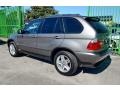 Titanium Silver Metallic - X5 4.4i Photo No. 39