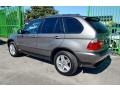 2005 Titanium Silver Metallic BMW X5 4.4i  photo #39