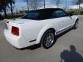 2008 Performance White Ford Mustang Shelby GT500 Convertible  photo #7