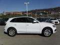 Glacier White Metallic - Q5 2.0 TFSI Premium Plus quattro Photo No. 11