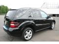 Black - ML 350 4Matic Photo No. 5
